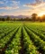 Agriculture